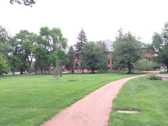 Colorado College